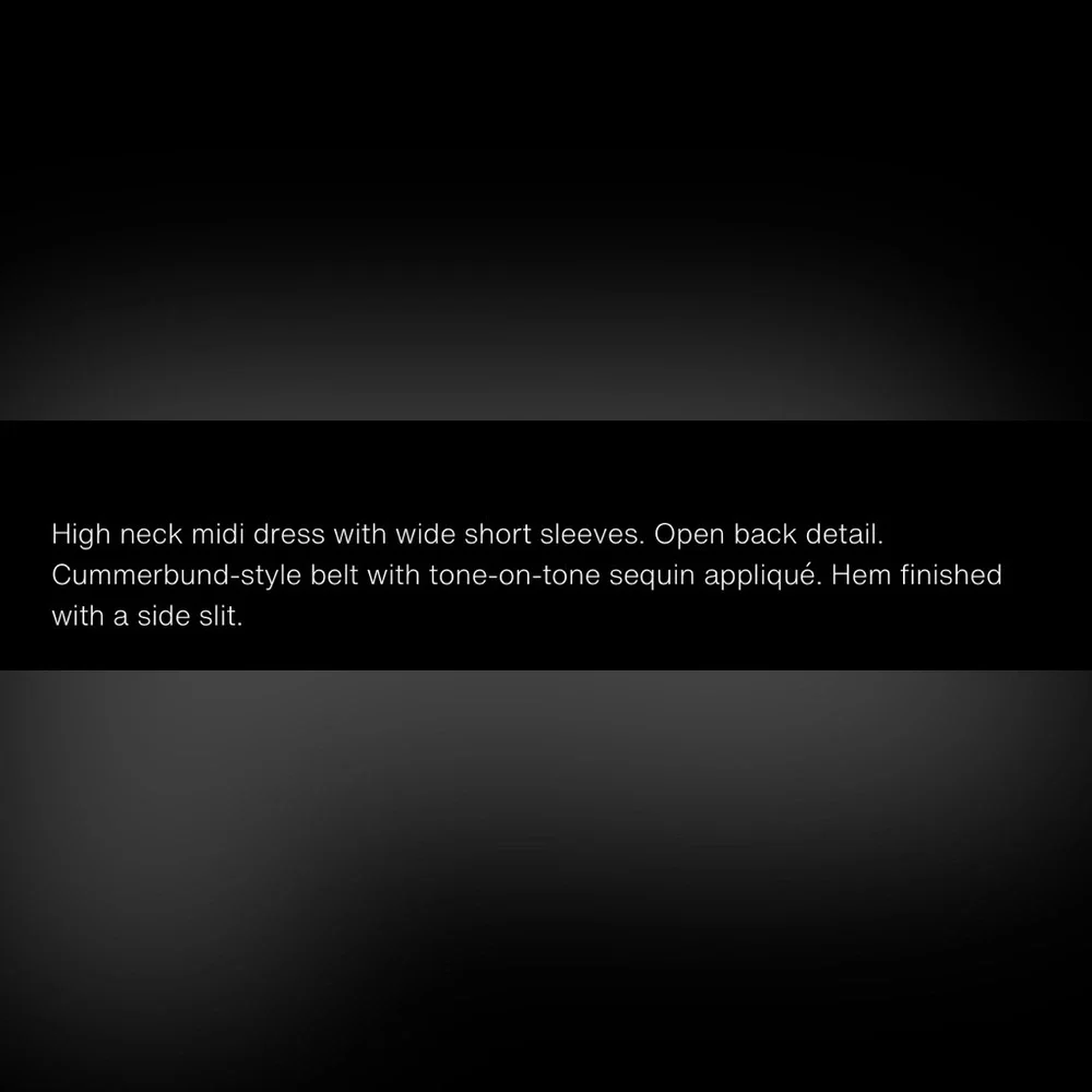 ZARA CUMMERBUND MIDI DRESS - Picture 16 of 17